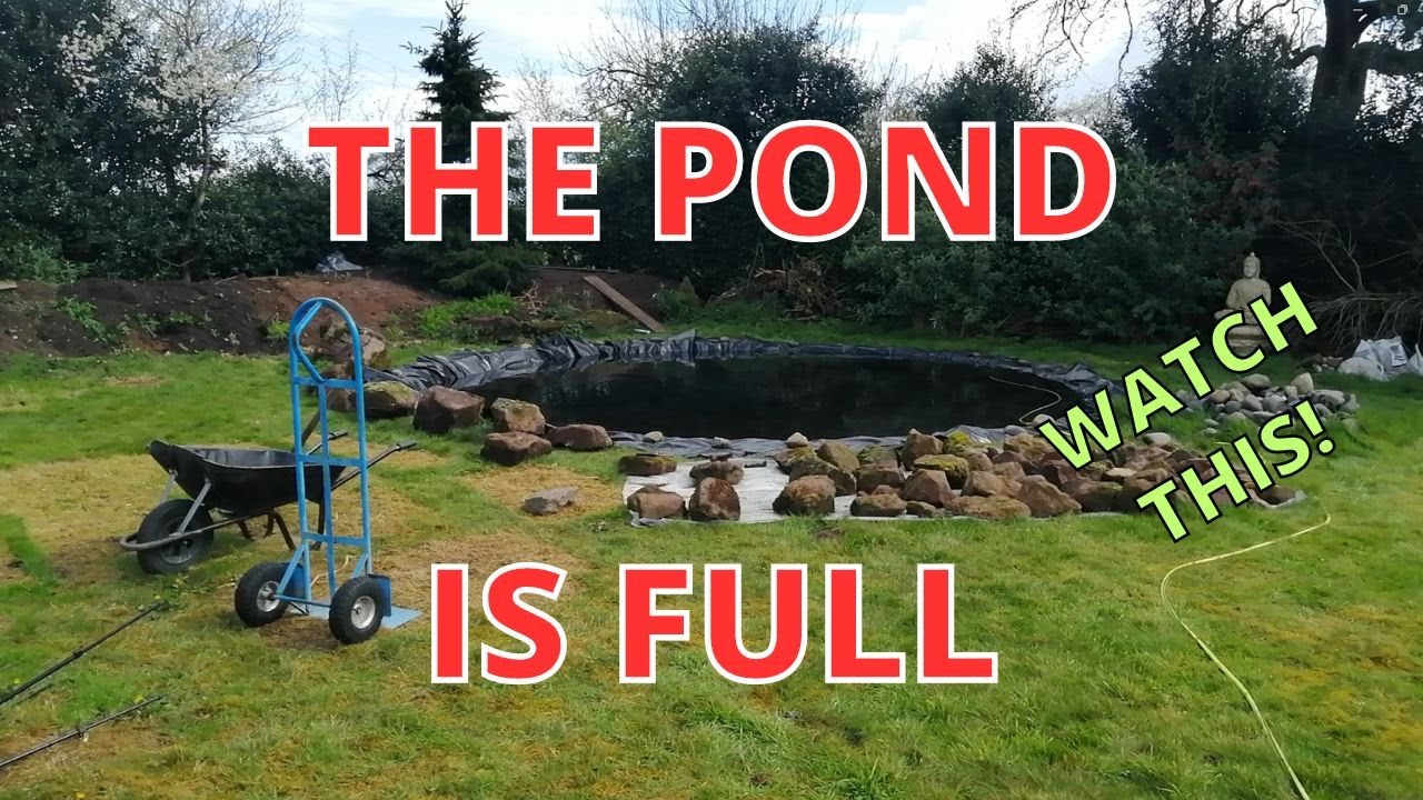 The Wildlife Pond is FULL. Including NEXT STEPS and RAINSTORM FOOTAGE