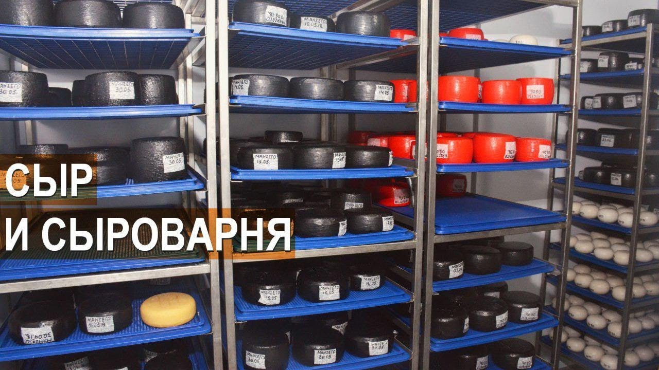 Овечий сыр. Оборудование сыроварни. Ферма Покров.