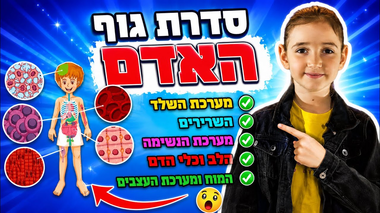 הילימוד ברצף - סדרת גוף האדם | מערכת השלד, השרירים, מערכת הנשימה, הלב וכלי הדם, המוח ומערכת העצבים