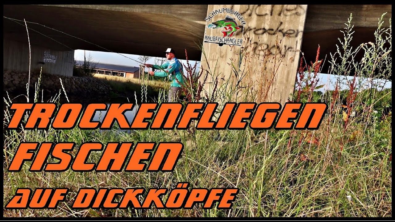Trockenfliegen Fischen auf Dick&ouml;pfe