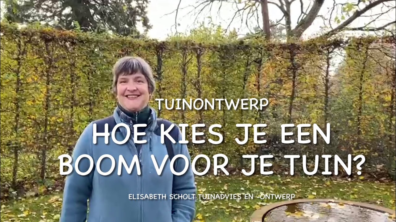 HOE KIES JE EEN BOOM VOOR JE TUIN?