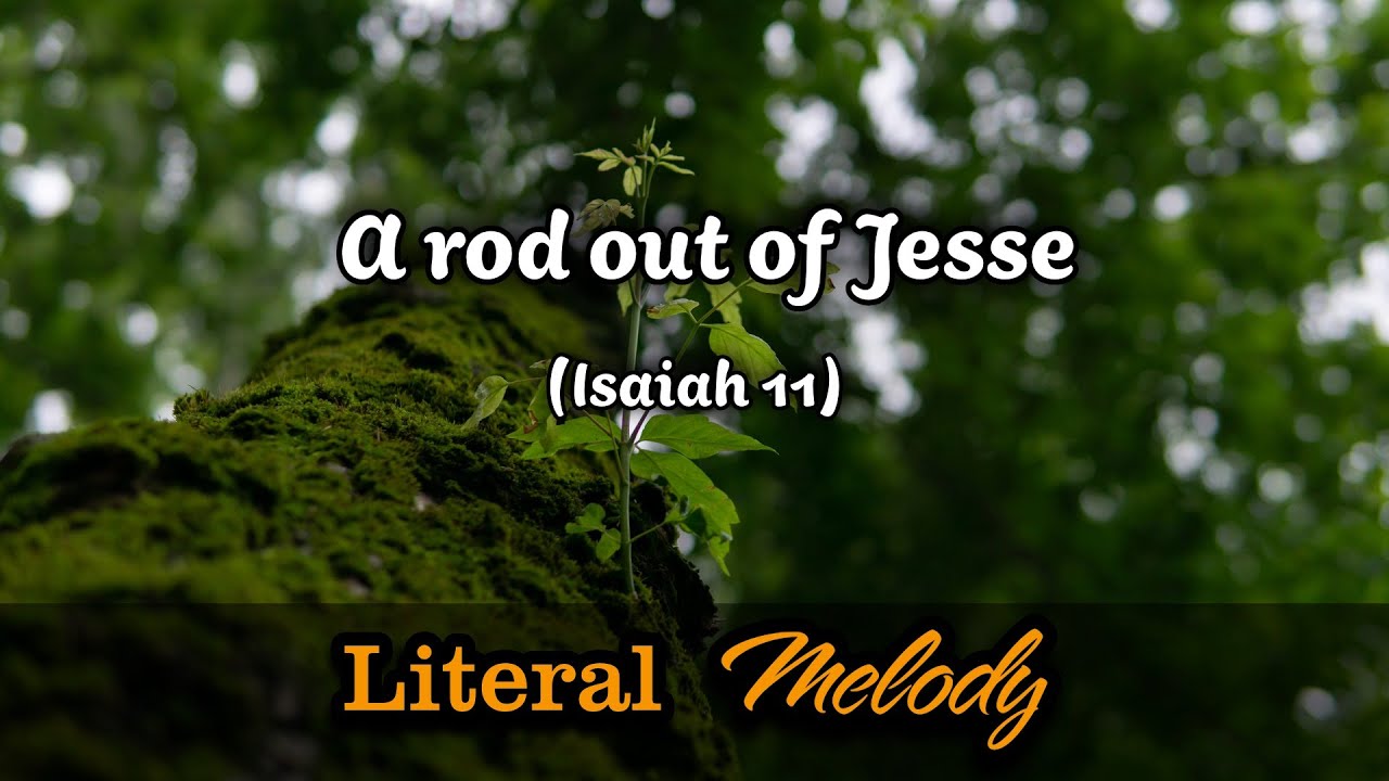 A rod out of Jesse - Classical version
