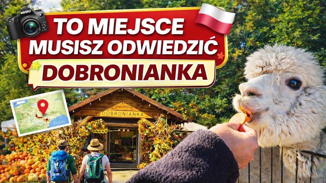Dobronianka - Dyniowe królestwo, w którym nakarmisz zwierzaki!