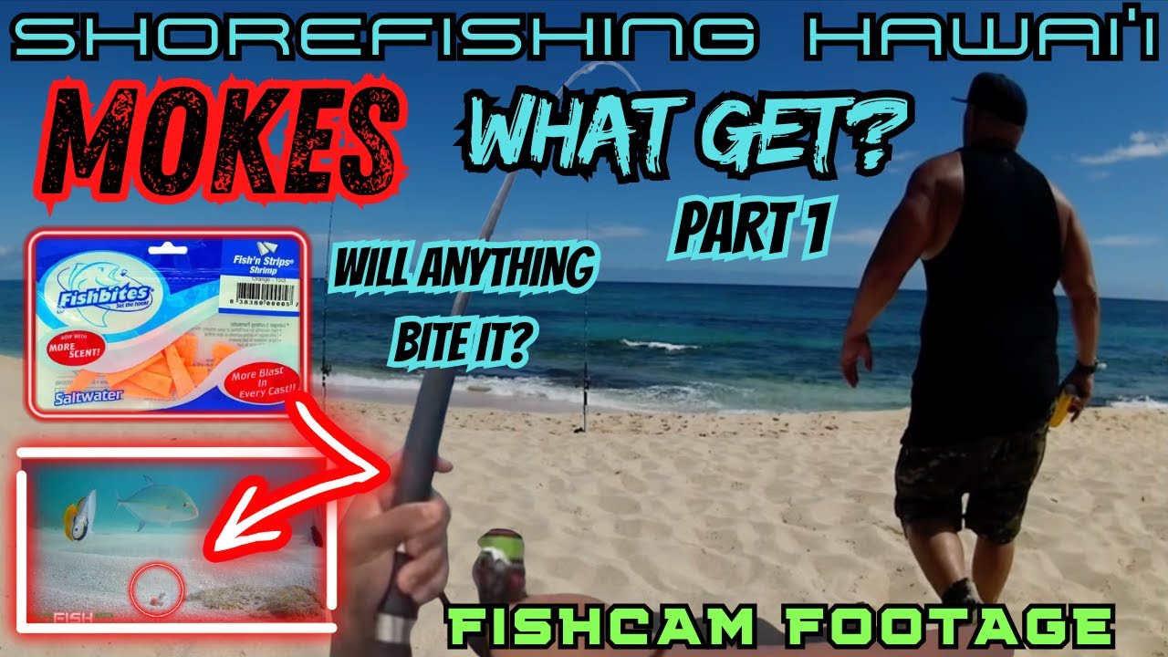 SHOREFISHING HAWAI'I: MOKES-WHAT GET? PART 1: FISHBITES-WILL ANYTHING BITE IT?
