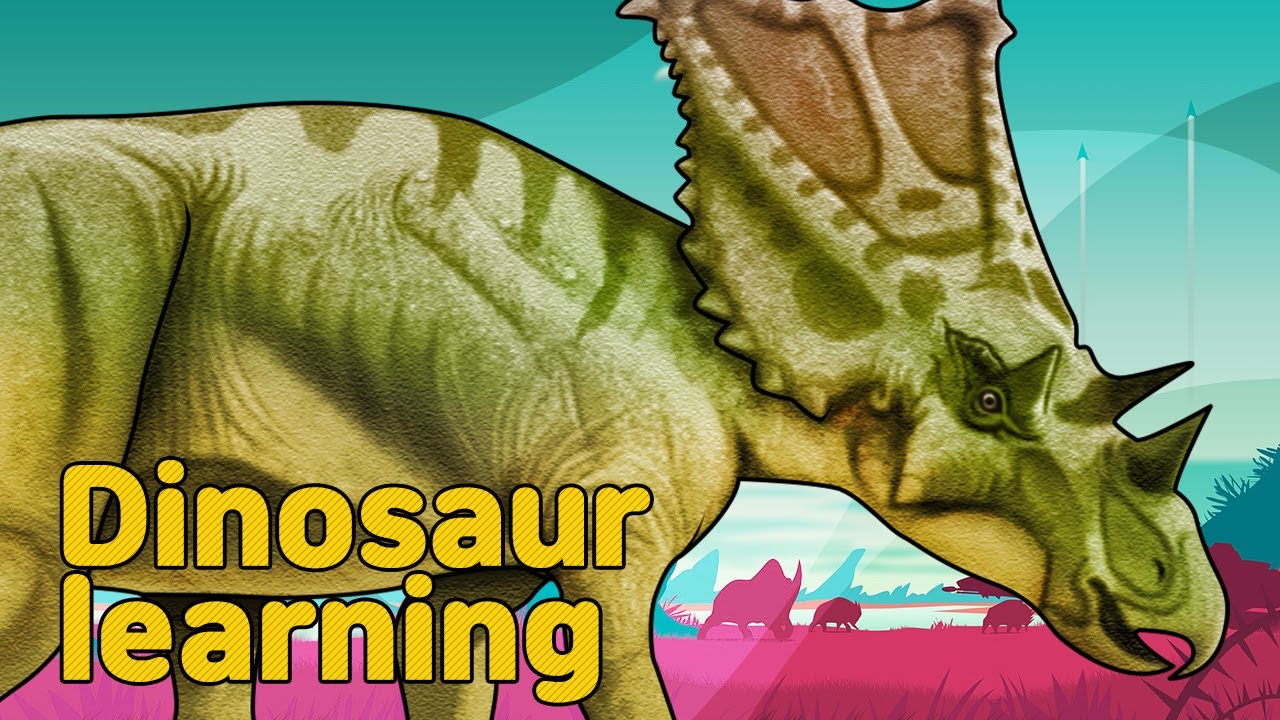 Dinosaur Chasmosaurus Collection| herbivorous dinosaur Chasmosaurus |공룡 카스모사우루스