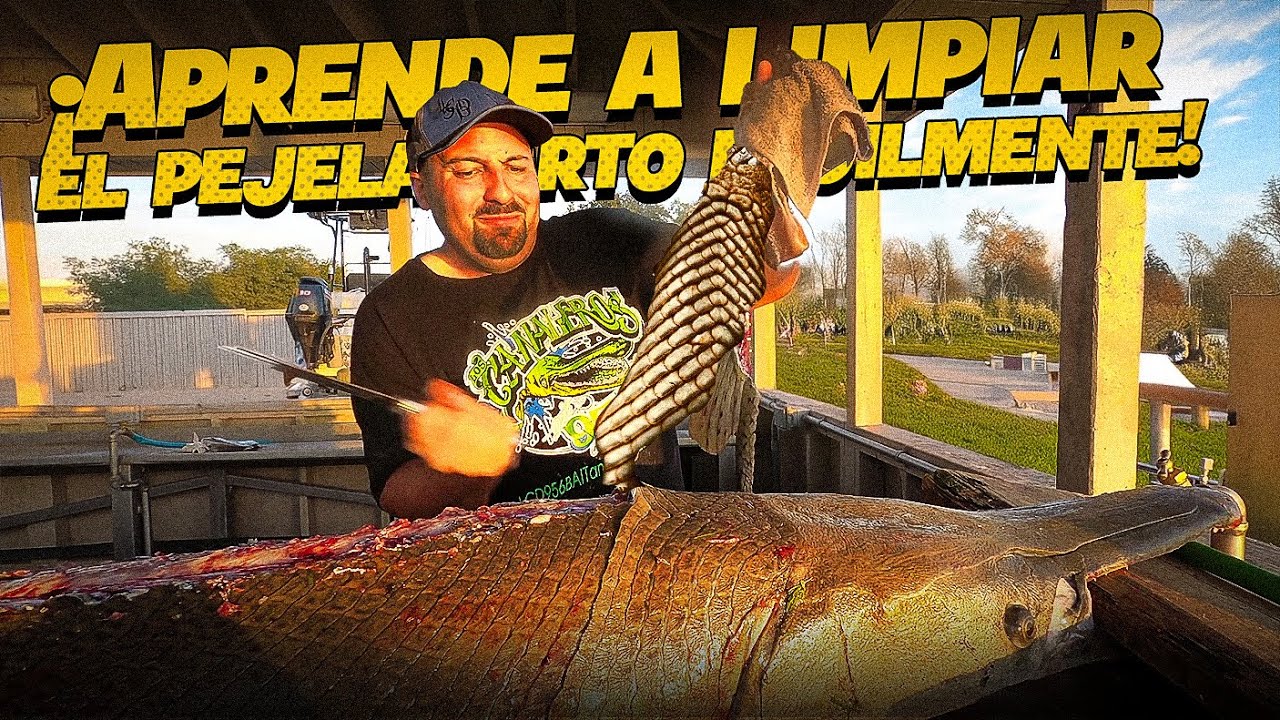 Limpieza y Fileteado de Pejelagarto: Gu&iacute;a Paso a Paso