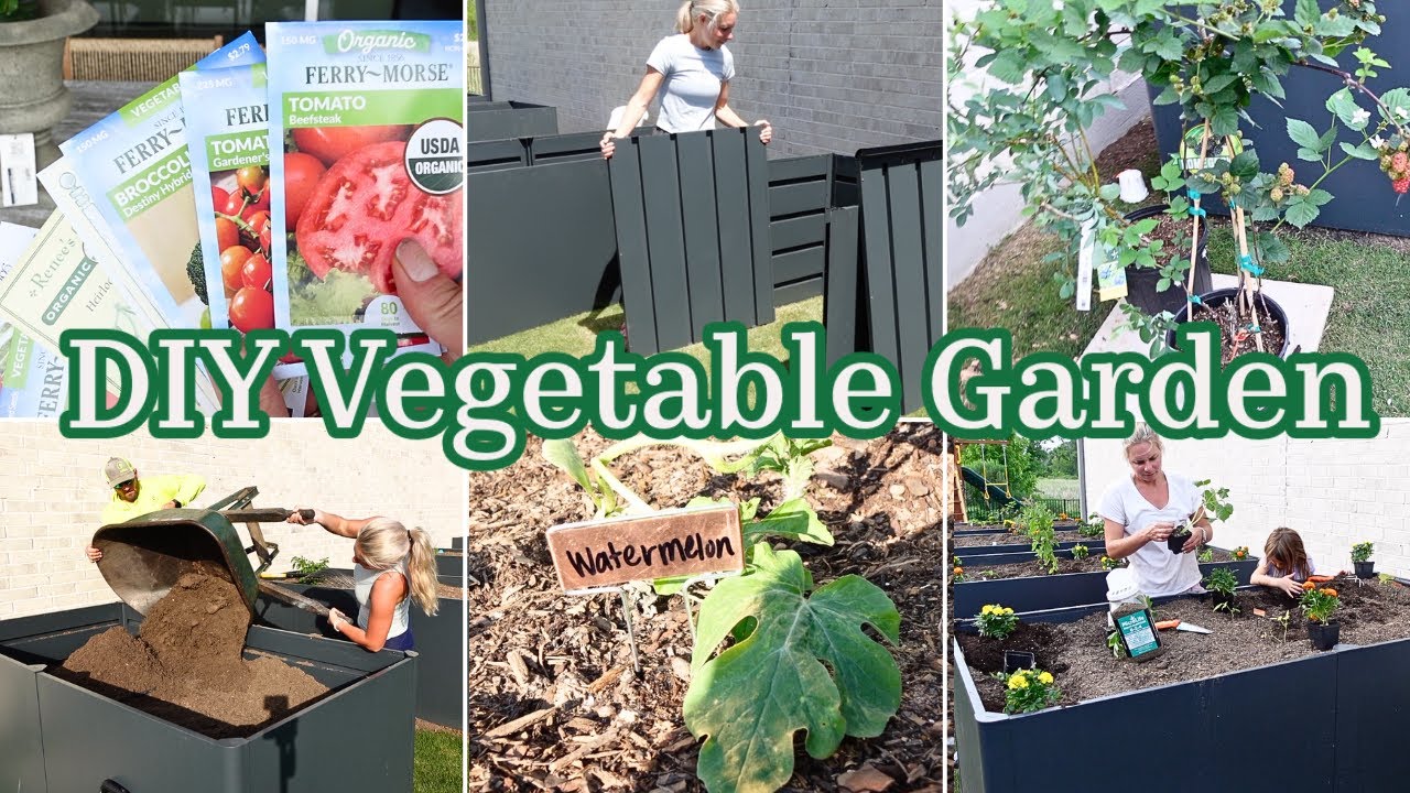 How To Create a Vegetable Garden / Beginner Gardening Tips / DIY Raised Garden Beds