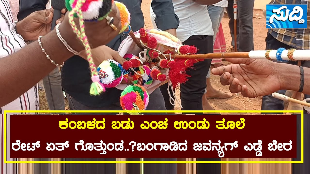 ಕಂಬಳದ ಬಡು ಎಂಚ ಉಂಡು ತೂಲೆ|ರೇಟ್ ಏತ್ ಗೊತ್ತುಂಡ|ಬಂಗಾಡಿದ ಜವನ್ಯಗ್ ಎಡ್ಡೆ ಬೇರ-||SUDDI MEDIA PUTTUR||