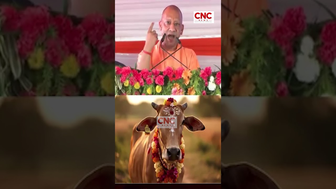Chief minister Yogi Adityanath on Monday said the cow occupies a revered place in Indian