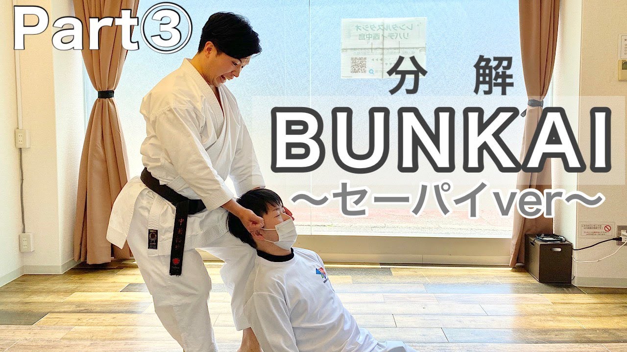 【形 分解】セーパイ③ Gojuryu Karate Kata in Japan