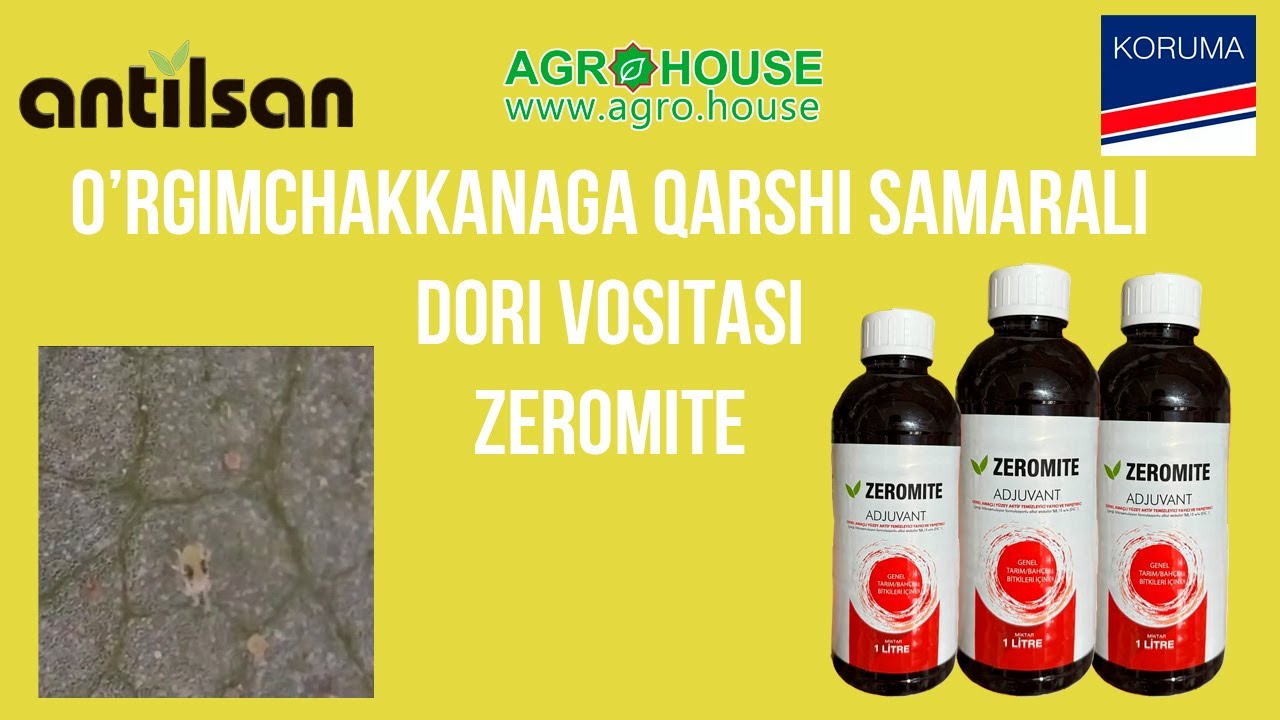 O'rgimchakkanaga qarshi yangi dori vositasi ZEROMITE #agrohouse #orgimchakkana #uzbekistan #shorts