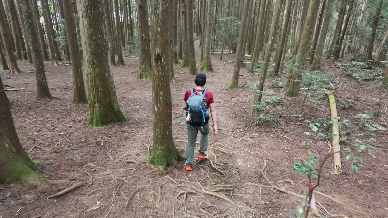 高島縱走_下坡忍不住跑起來