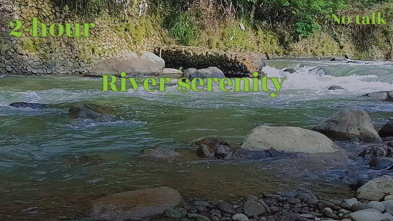 Gentle River Flow ASMR Peaceful Stream for Deep Sleep