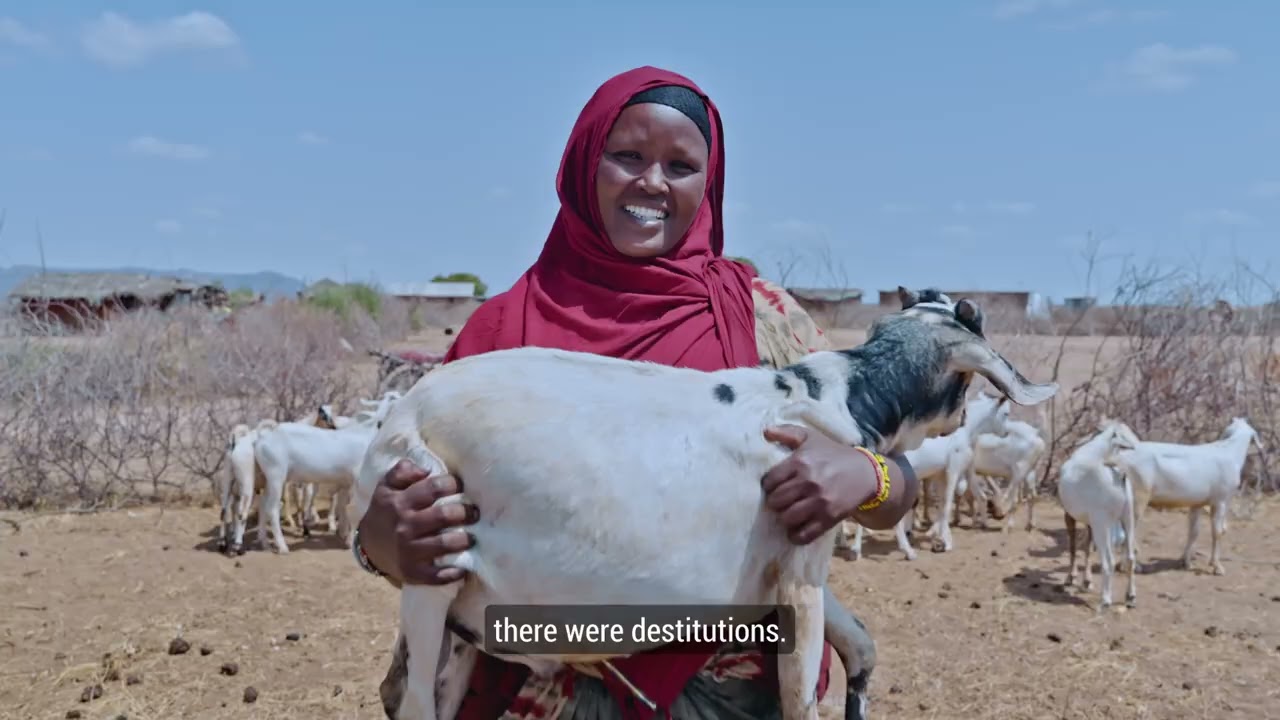 Building a resilient pastoralist community in Marsabit - Oxfam Kenya
