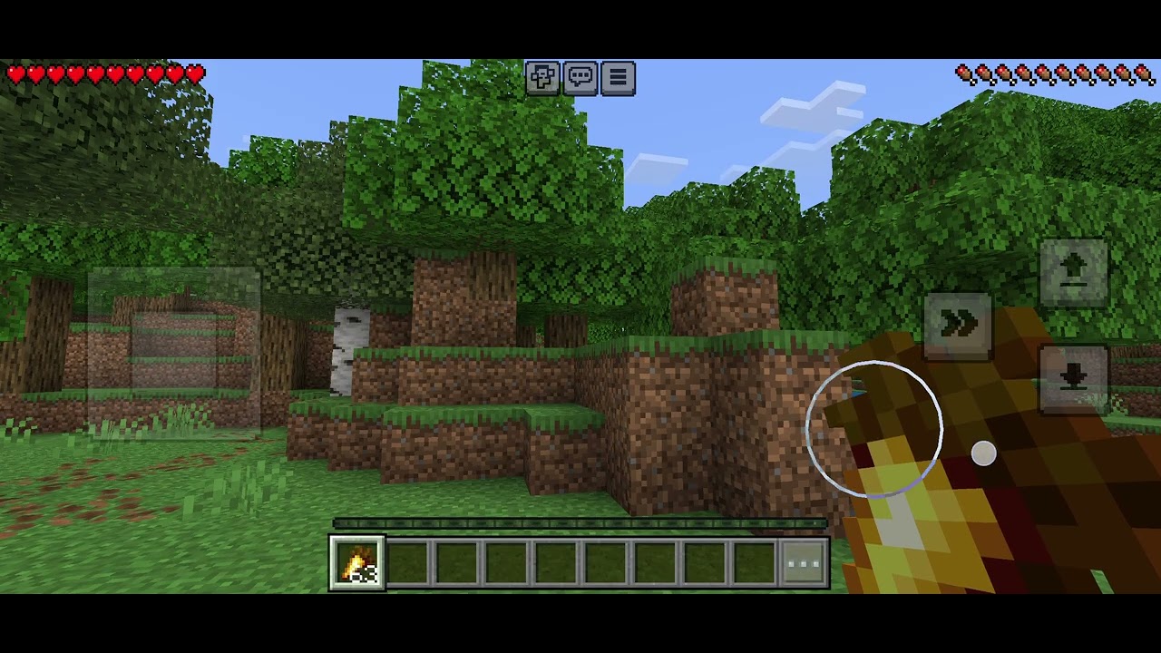 Day 1 of playing minecraft
