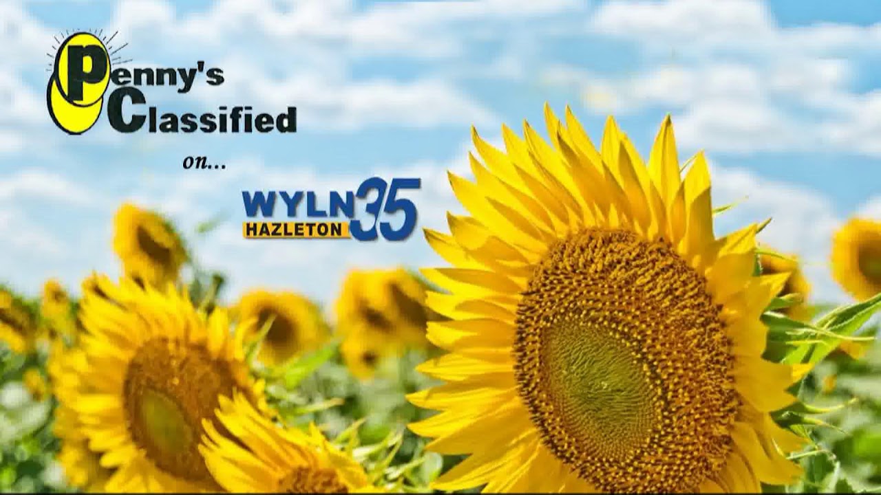 WYLN NEWS FOR THURSDAY AUGUST 14TH 2025