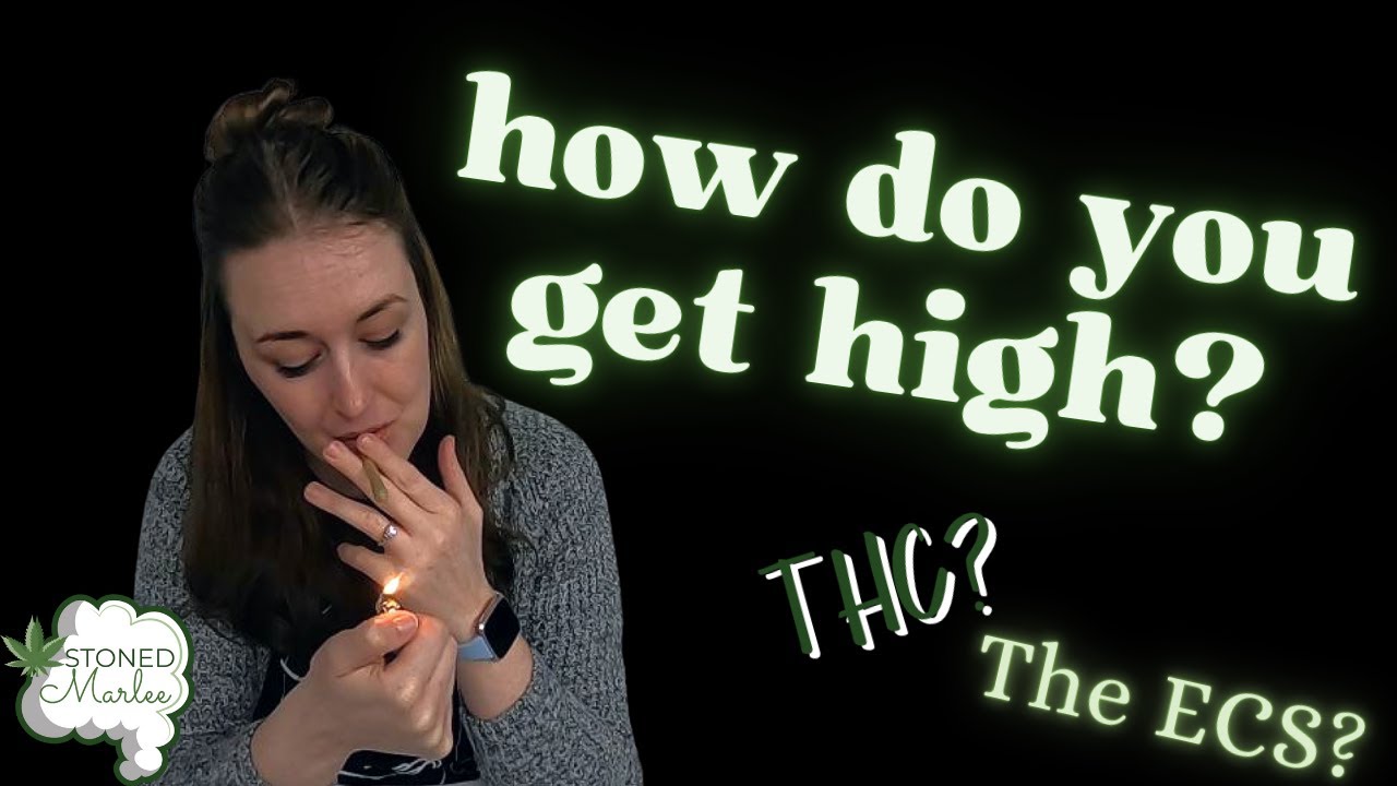 How does your body get high? * Stoned Marlee *