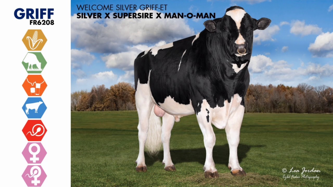 World Wide Sires