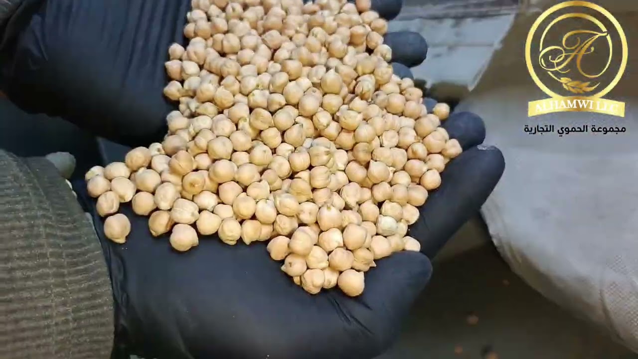 ⚜️مجموعة الحموي التجارية⚜️ حمص كندي أول