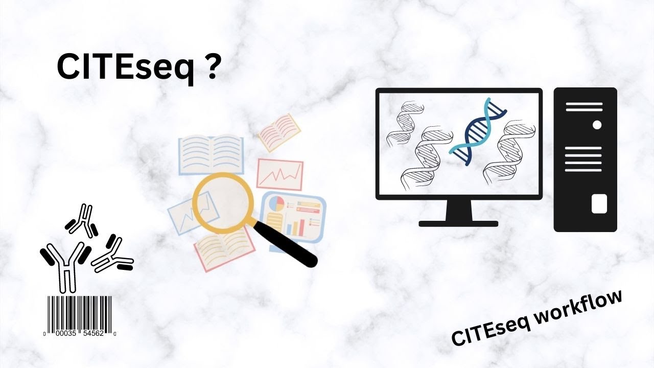 CITEseq Introduction and Workflow | molecular biology | RNAseq | NGS