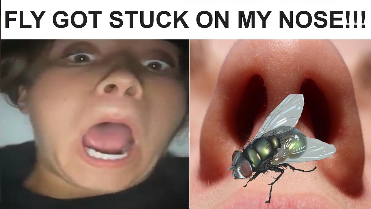 TOTALLY RANDOM VIDEOS FOR THE DAY 2 | Funny Brain Channel