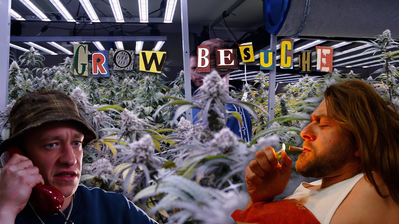 Ein Blick hinter die Kulissen eines echten Social Clubs! 🌿💨