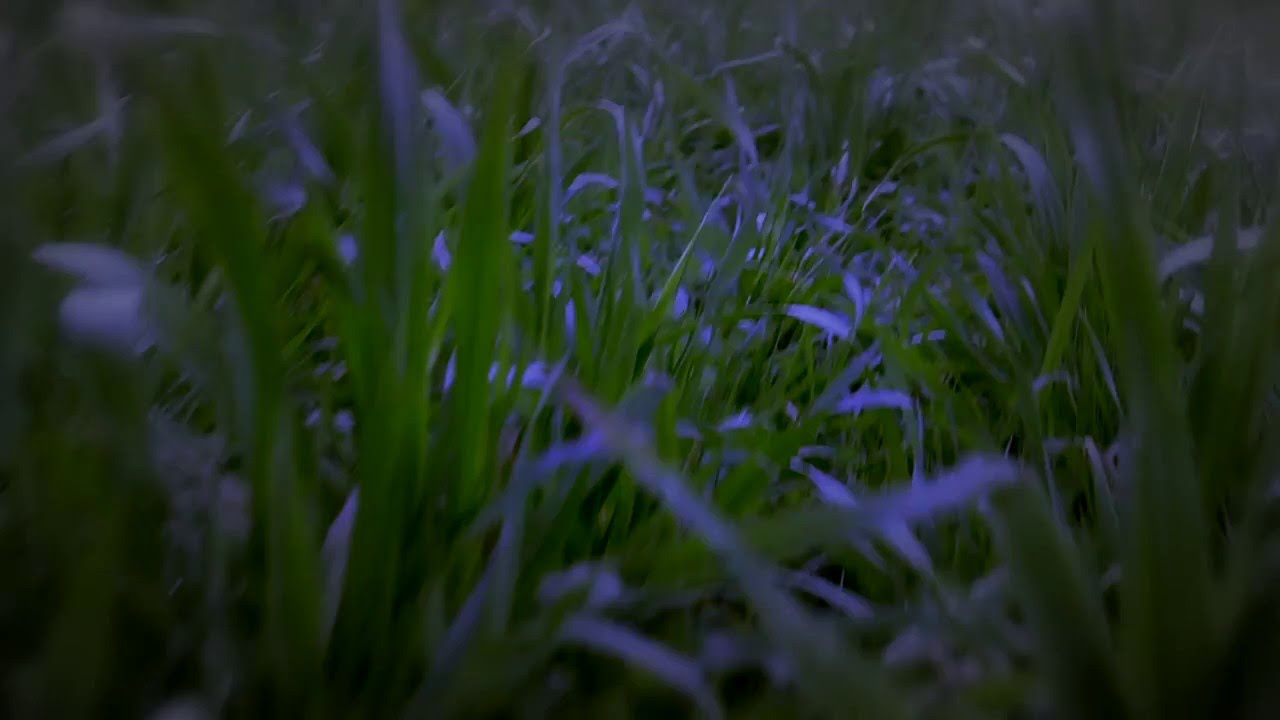 INTO THE MIST - Unhappy (Engelya’s Obsession) - Extended Official Video