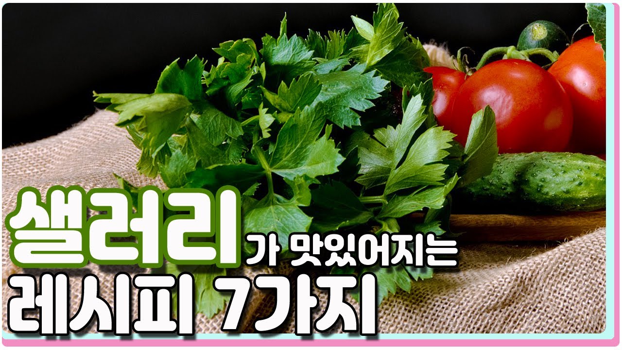 샐러리 간단하고 맛있게 먹는 7가지 요리 레시피 / 7 kinds celery cooking recipes
