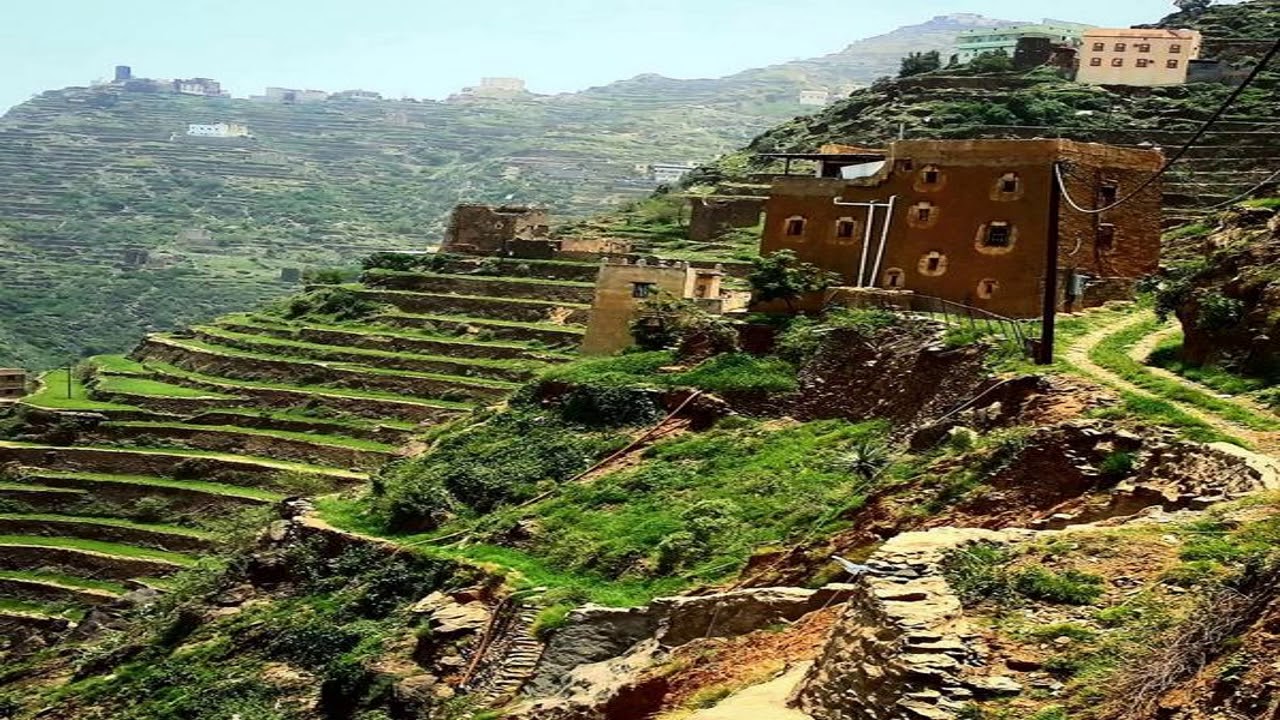 من الإرشيف تسجيل قديم للشاعر احمد يحيى العبدلي الفيفي والشاعر سلمان قاسم الفيفي الجزء الثاني