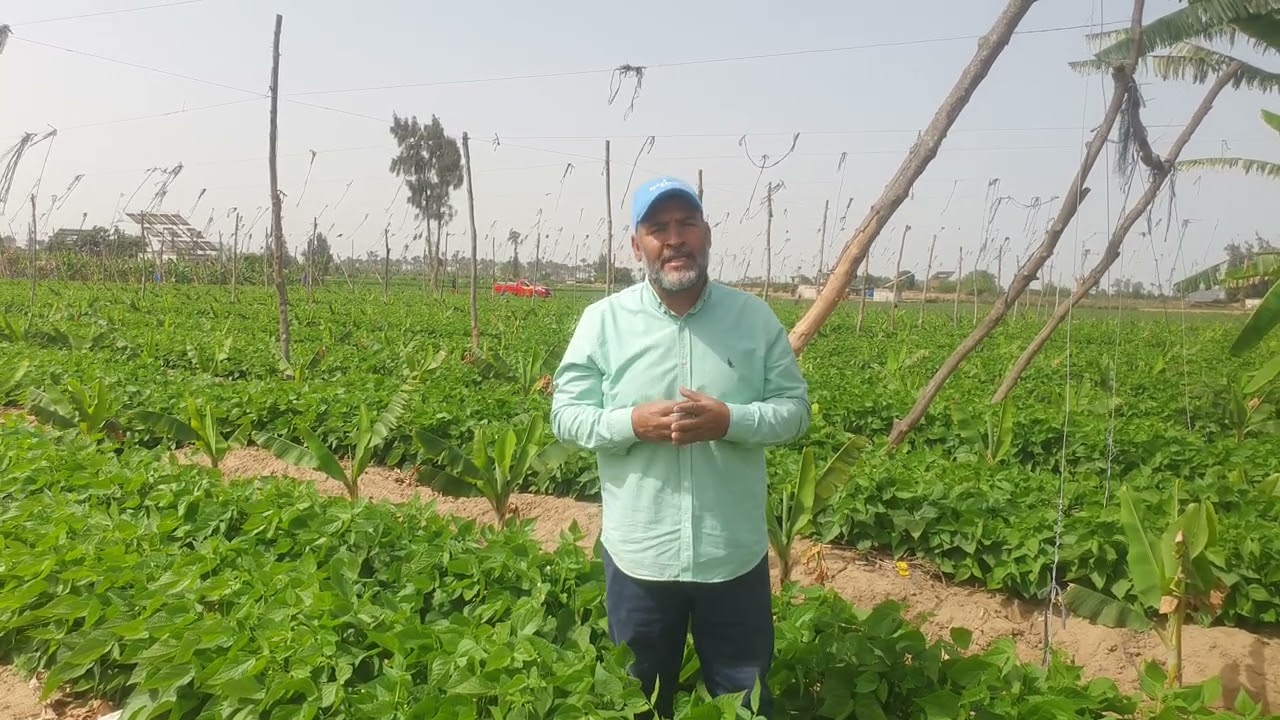 اهم الاعمال بعد عمليه الزراعه وبرنامج تسميد للامهات الجديده