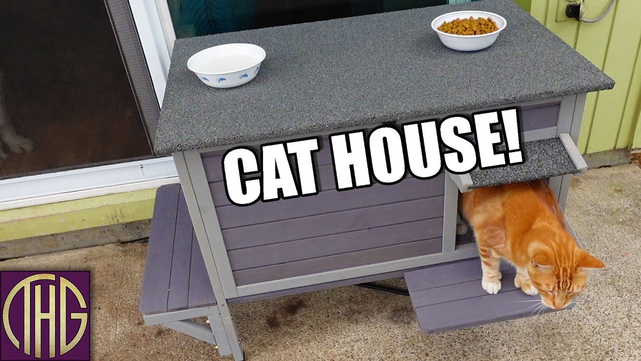 Orange Cat Approved?? GUTINNEEN Large Heated Cat House Unboxing & Set-up!
