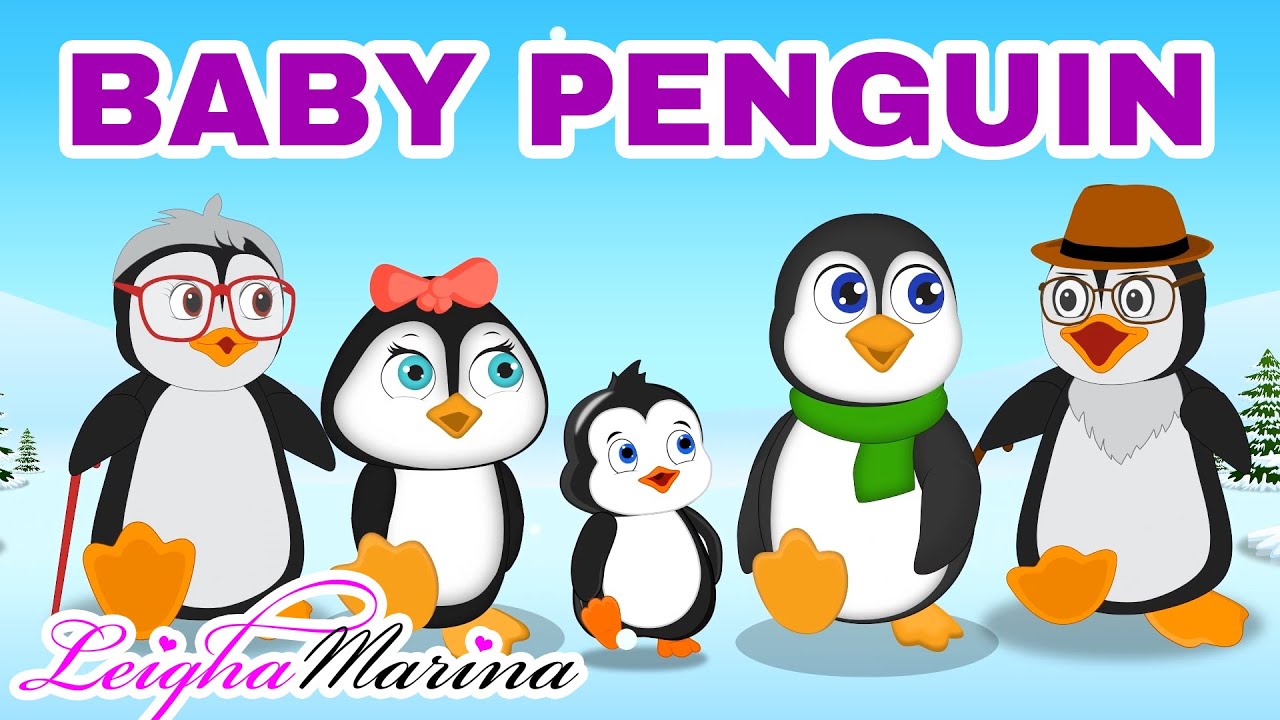 Baby penguin song for kids | penguin family cartoon | Leigha Marina
