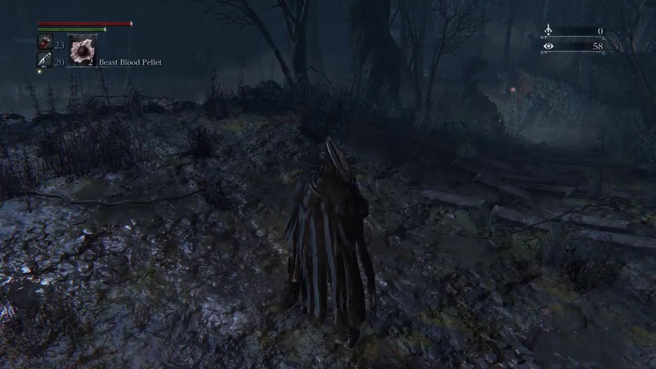 Bloodborne fun time