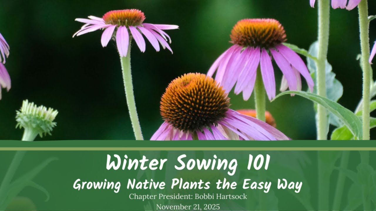 Winter Sowing for Native Gardens