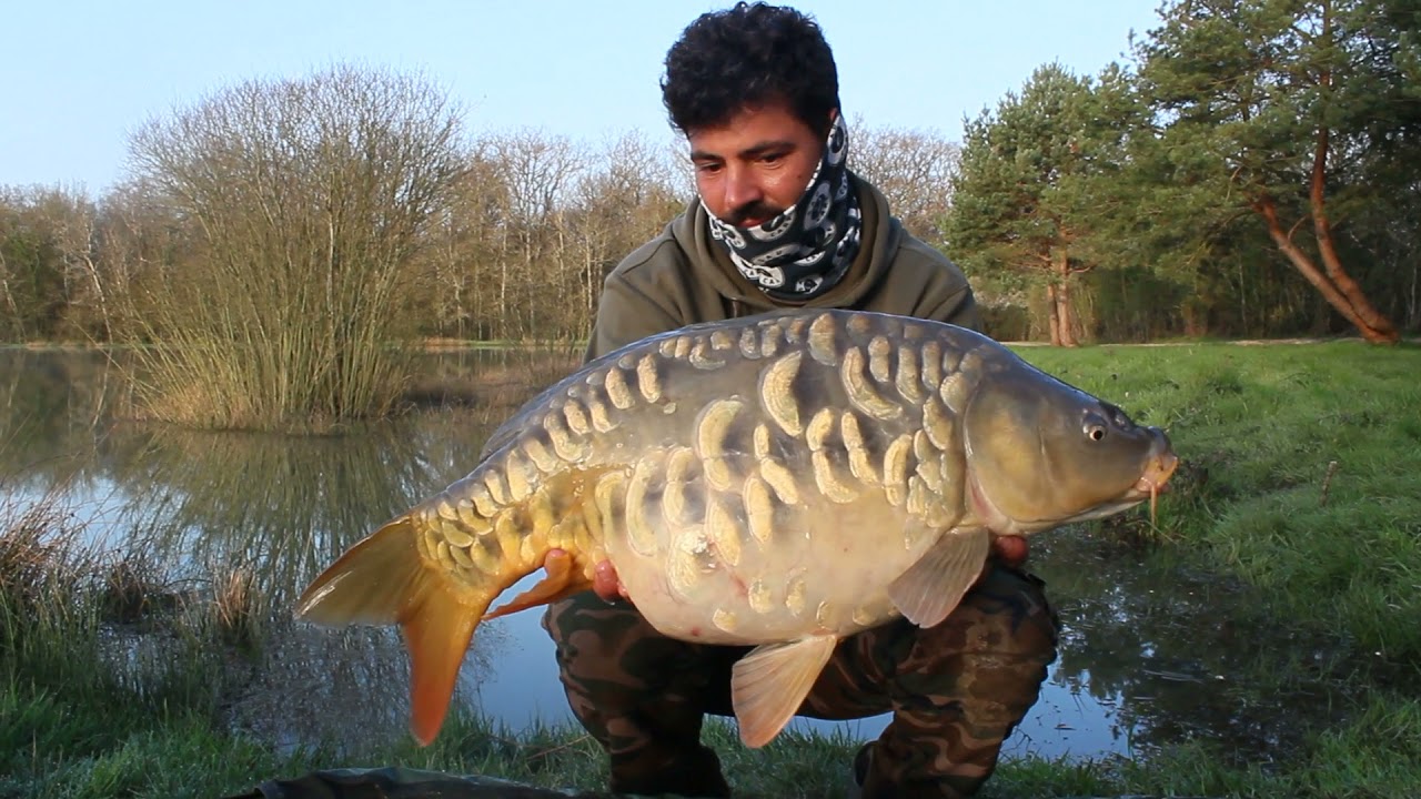 Etang camalo