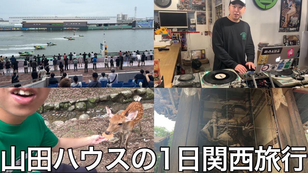 【実写】大雨の影響で急遽関西旅行を実施したら各々行きたい場所に向かう中憧れのへずまりゅうを探しに奈良公園へ旅に出る奴がいた