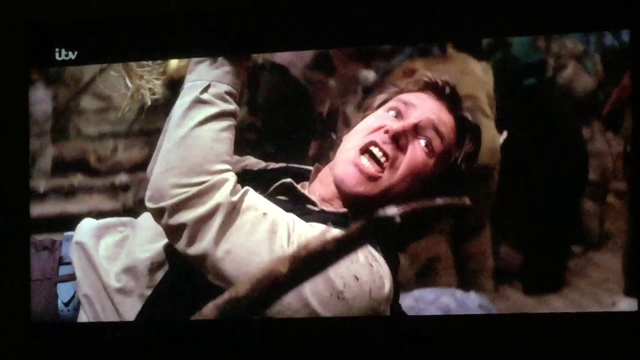 Ewok Treehouse scene The Return of the Jedi