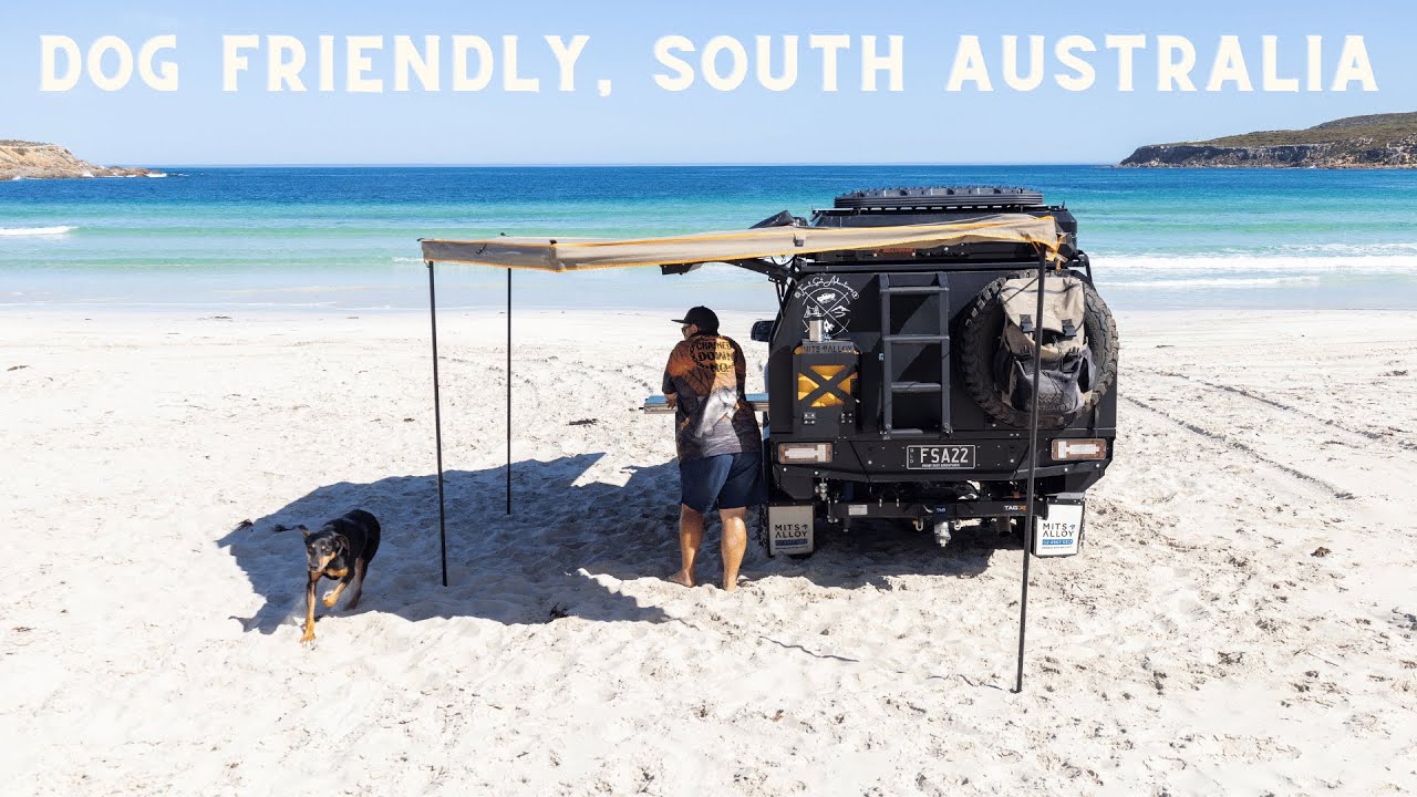 This Beach Took us by Surprise || Dog Friendly South Australia