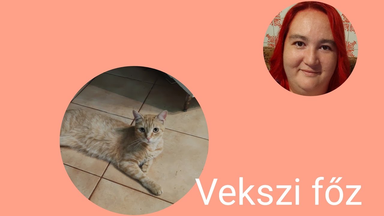 Főzős Vlog / Leves+második/ Beszélgessünk| Vekszi Világa 