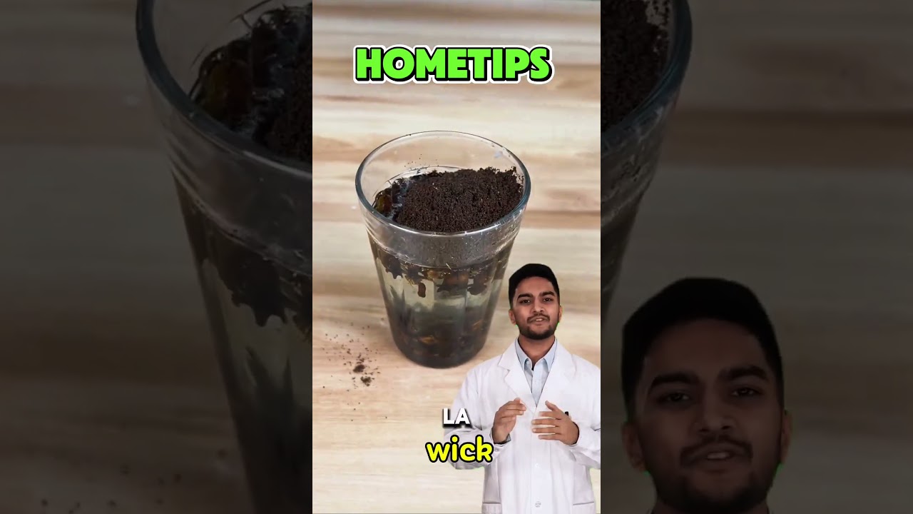 Make Your Own Insect-Repellent Candle! #DIY #HomemadeCandle #Insects #HomeTip #Coffee #Cloves #diy