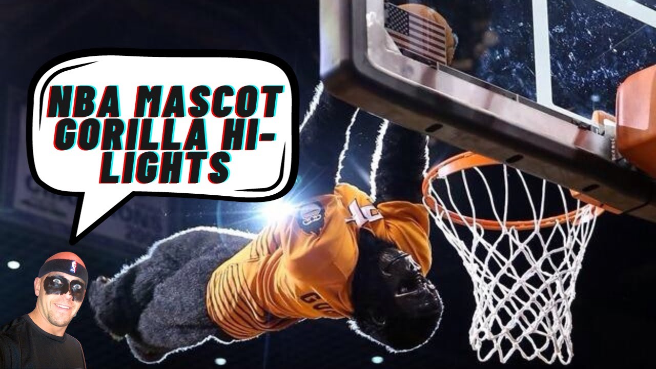 The Phoenix Suns Gorilla 2014 dunk highlight reel