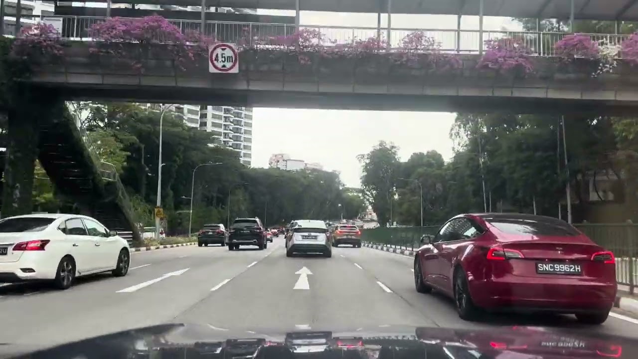 29 Jan 2026 1800 / Bukit Merah to Ang Mo Kio