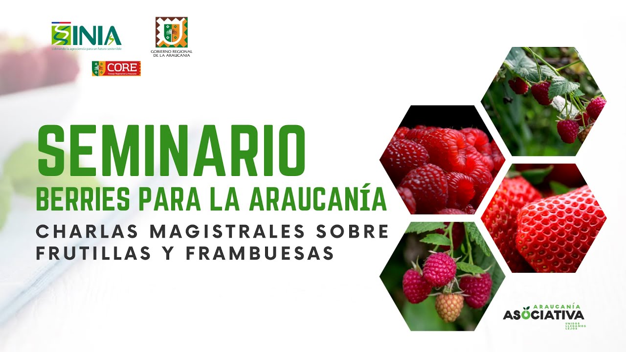Seminario Berries para La Araucanía (7 de junio)