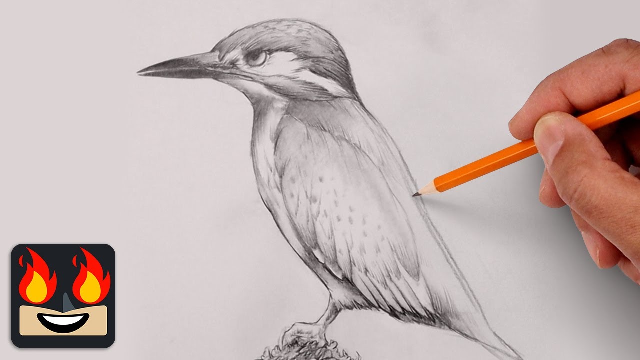 Drawing Is Easy When You Do It This Way!