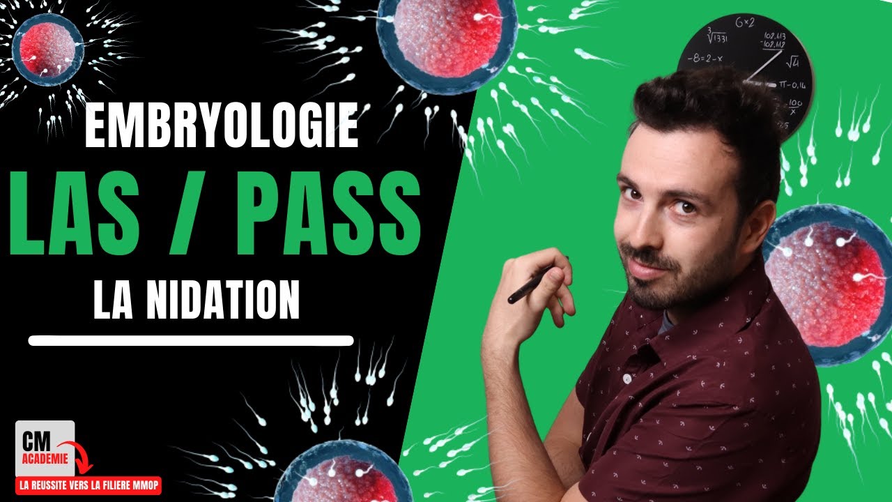 LA NIDATION : 👶2ème semaine de développement embryonnaire !