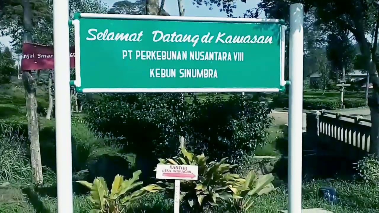 PT. PERKEBUNAN NUSANTARA VIII KEBUN SINUMBRA 2019