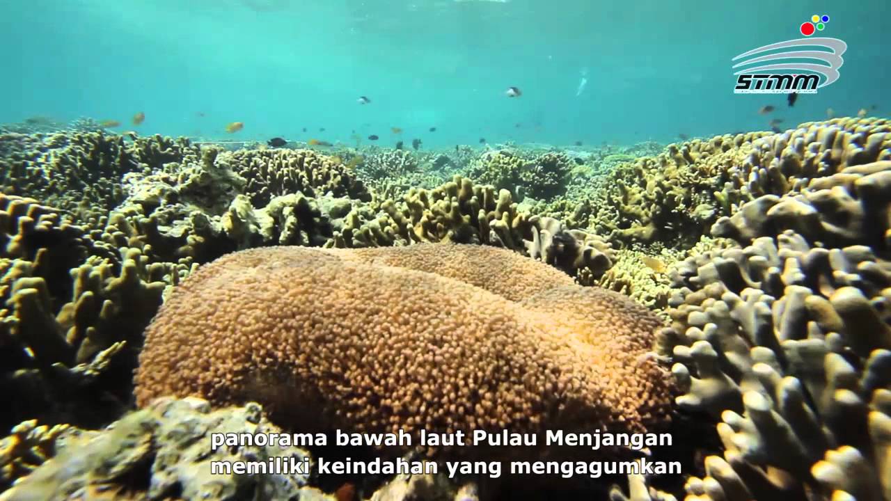 West Bali National Park - Documentary Films