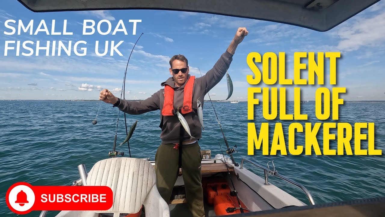 Solent FULL of mackerel and Bass!! Small UK Boat Fishing - WIGHT ANGLER