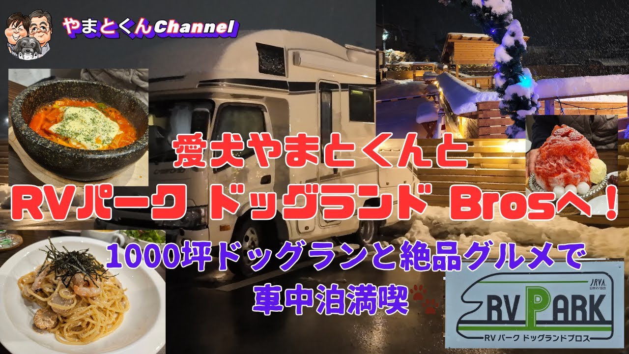 愛犬やまとくんとRVパーク ドッグランド Brosへ！1000坪ドッグランと絶品グルメで車中泊満喫🐾