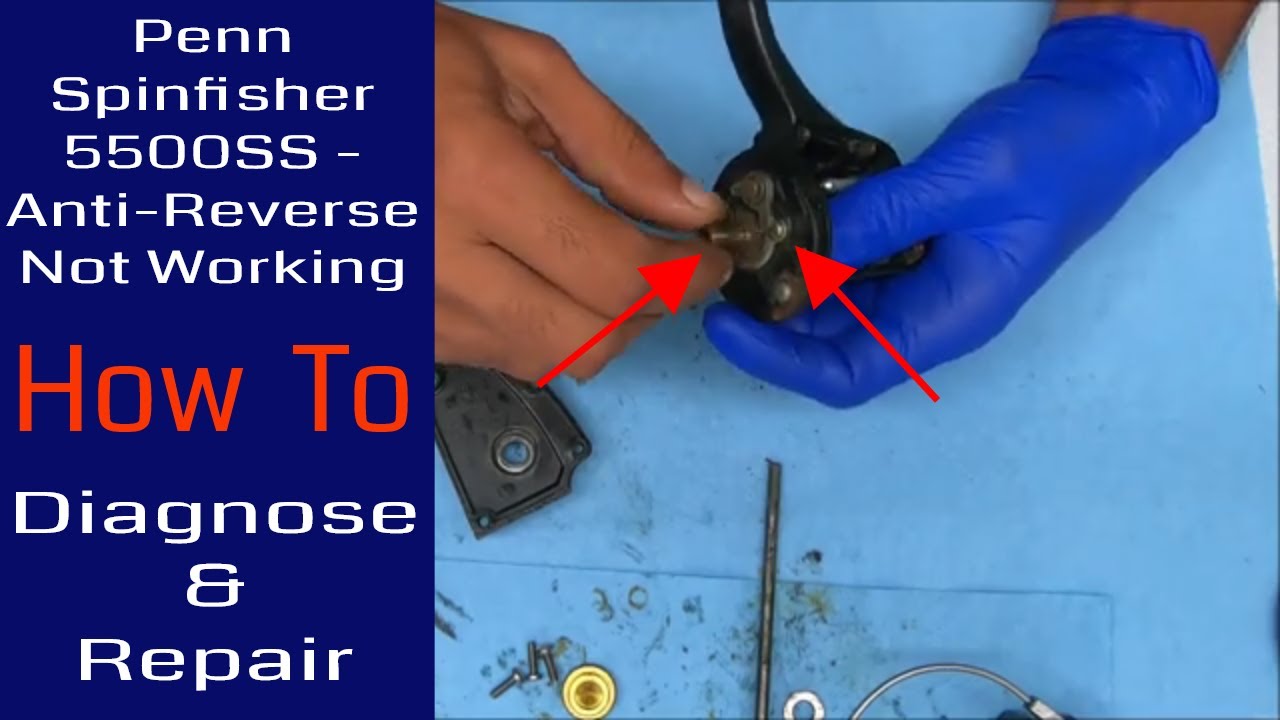Penn Spinfisher 5500SS No Anti Reverse - How to diagnose and repair: Fishing Reel Repair